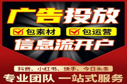 SEM代运营机构案例分析：优化策略与执行